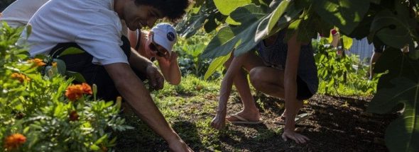 In planting campus gardens, university students root themselves in the larger world