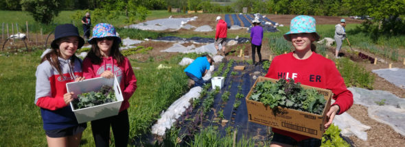 Loughborough Public School: Climate Action and Reconciliation through Food Literacy